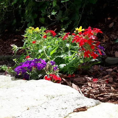 Kruspe Comfortable * Drezda