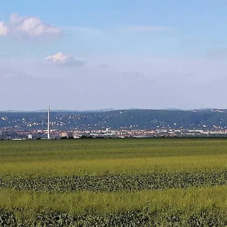 Kruspe Comfortable *