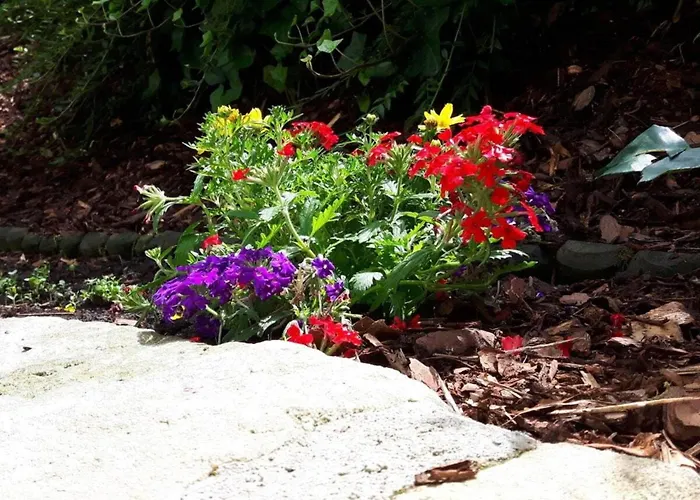 Kruspe Comfortable * Dresden