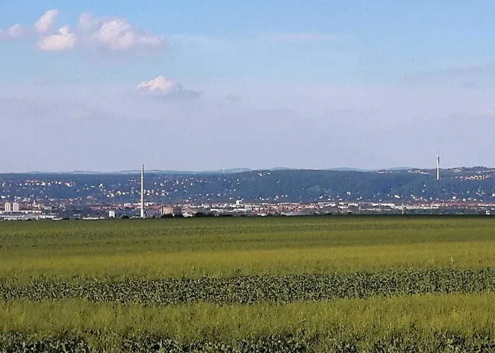 Kruspe Comfortable *